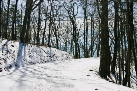 Old Pike Road. (aka My Driveway)