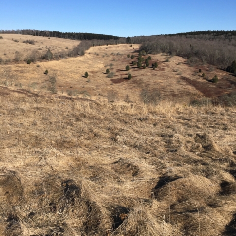 Top of Allegheny. February 22.
