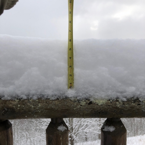 February 29. Biggest snowfall of a very warm winter season.
