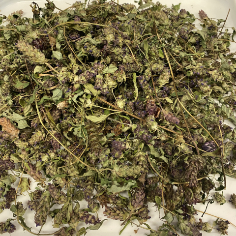 Dried Heal All.