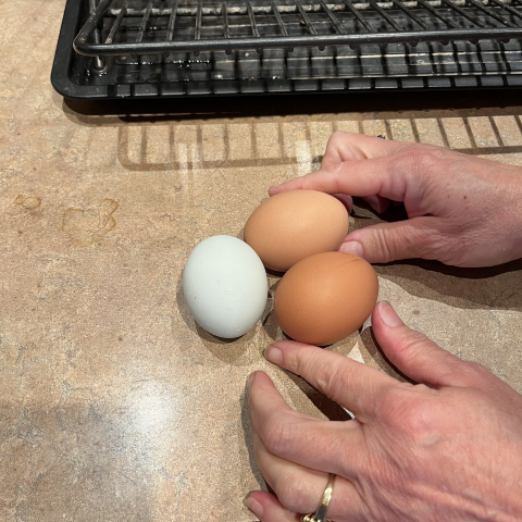 March eggs.