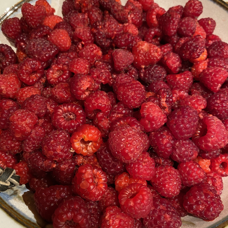 Raspberries are edible wealth.