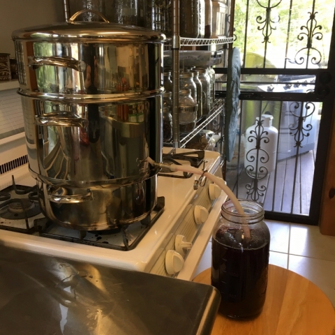 Steam extracting grape juice.