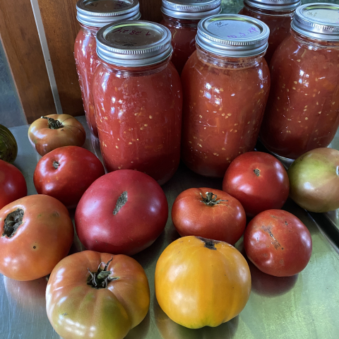 Still canning marinara November 11.