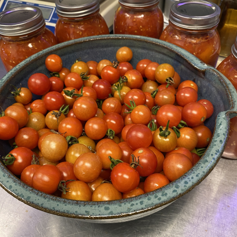 Canning continues!