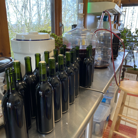 Bottling wine casked in 2022.