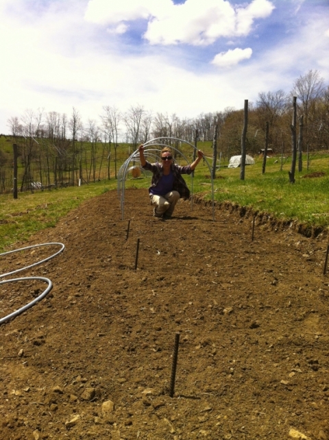 Finalizing the 50-foot low tunnel.