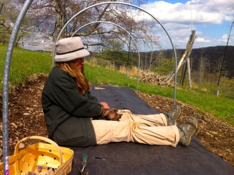 Potato planting May 12.