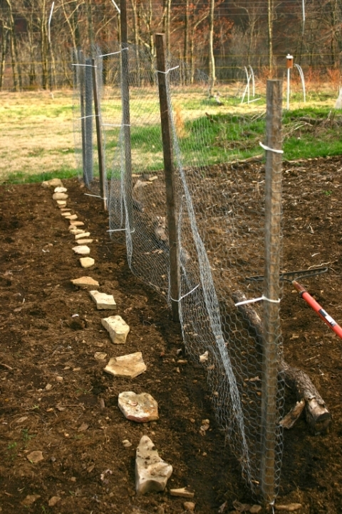 A new snow pea fence. Seeds in the ground, April 17!