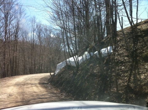 Remnants of the 10-foot snowdrifts. April 11.