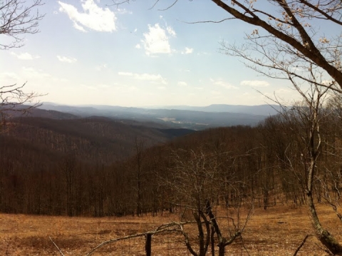 Looking toward Arbovale. Where's the snow?