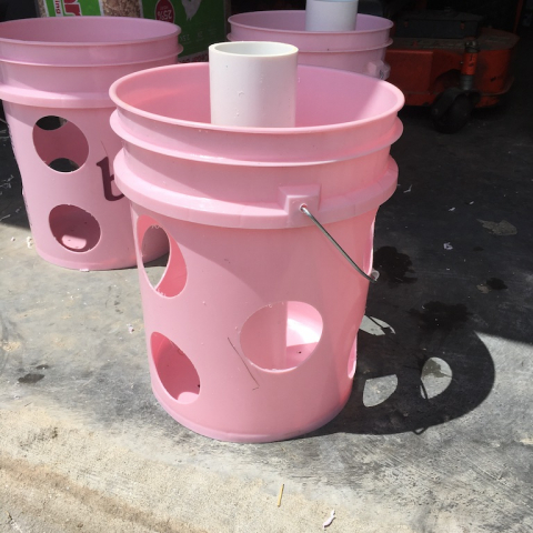 New Strawberry planters made from olive and coconut oil buckets.