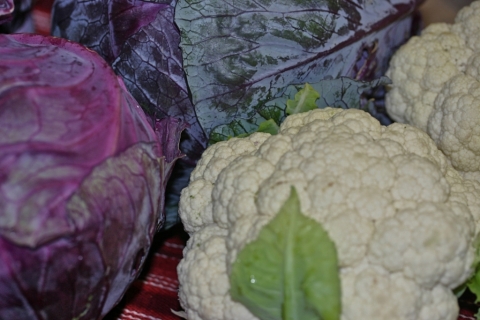 Cabbage & cauliflower ready for delivery July 28.