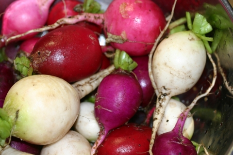 White radishes are called "Green Meat."