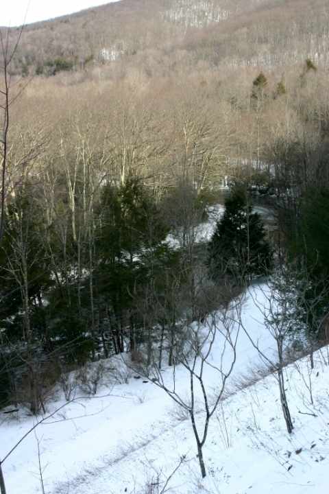 West Fork of the Greenbrier River from Forest Route (FR) 44, just above Durbin, in Pocahontas County, WV.