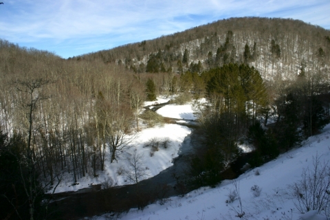 View of the West Fork from FR 44.