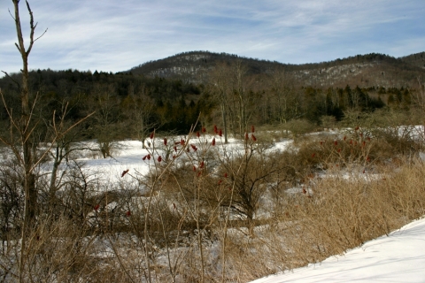 Site of former town of May.