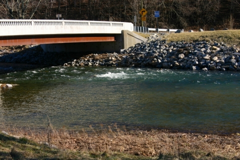 The Greenbrier River at Cass, January 20.