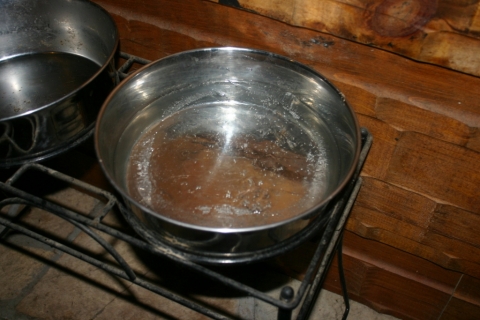 Buddy's frozen water bowl on the sunporch, January 22.