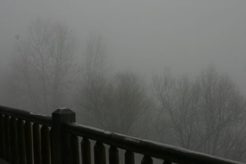 Icy fog, January 28.