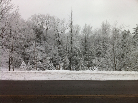 Snow on Cheat Mountain. March 2.