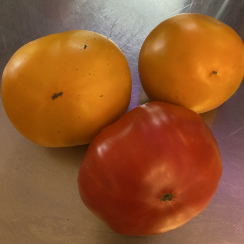 August tomatoes.